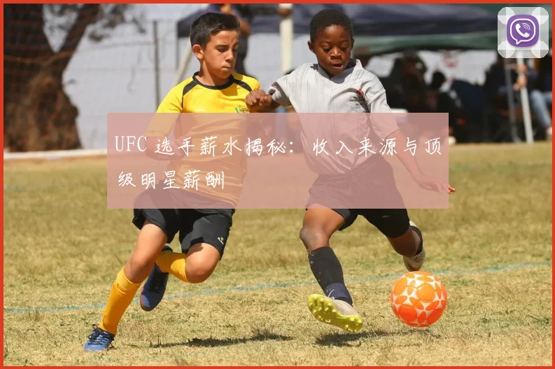 UFC 选手薪水揭秘：收入来源与顶级明星薪酬